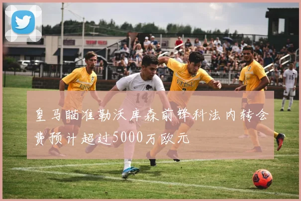 皇马瞄准勒沃库森前锋科法内转会费预计超过5000万欧元